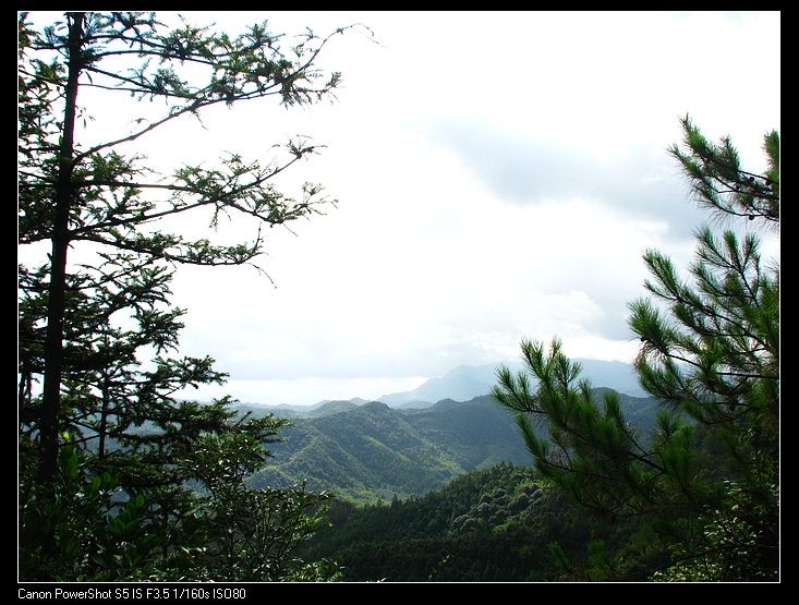 小飞1 109.JPG