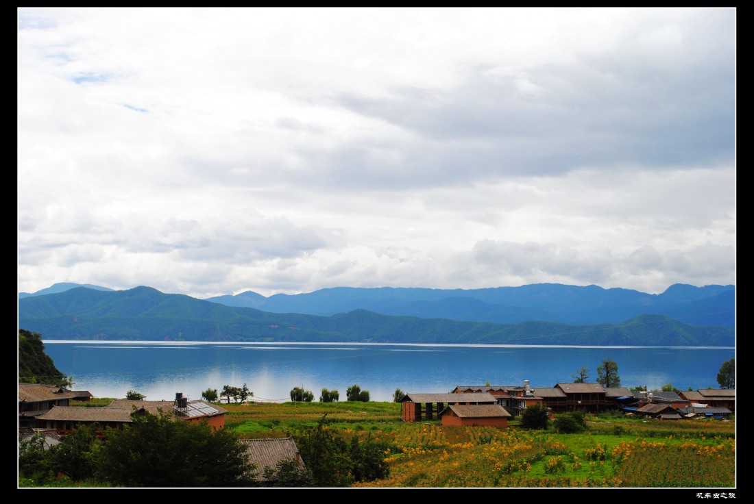 DSC_0600.jpg
