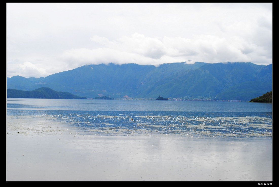 DSC_0611.jpg