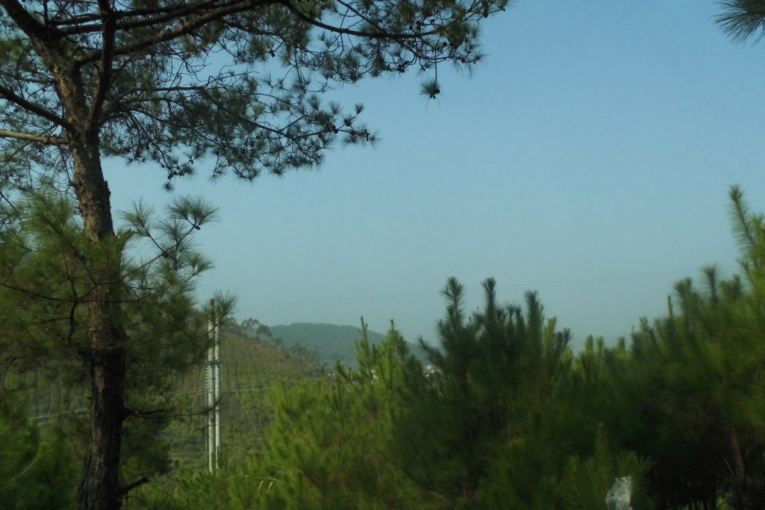 CIMG0858.JPG