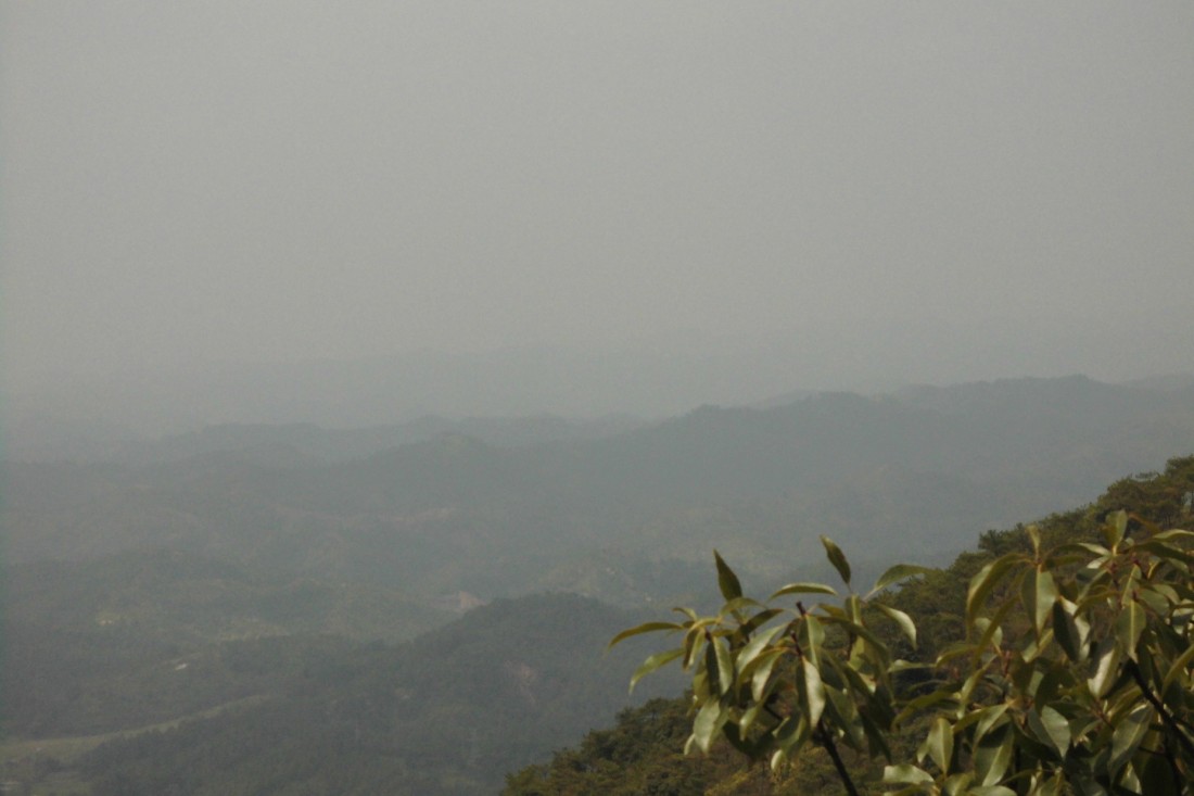 CIMG0973.JPG