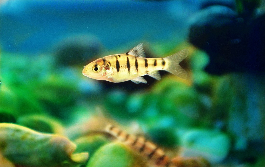 DSC_0335_.jpg