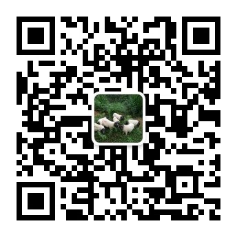 qrcode_for_gh_1fcaaf3e044a_344.jpg