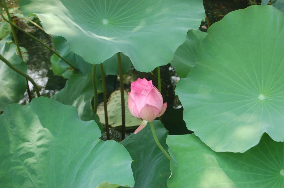 psb (9).jpg