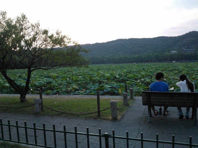 QQͼƬ20141028155117.jpg
