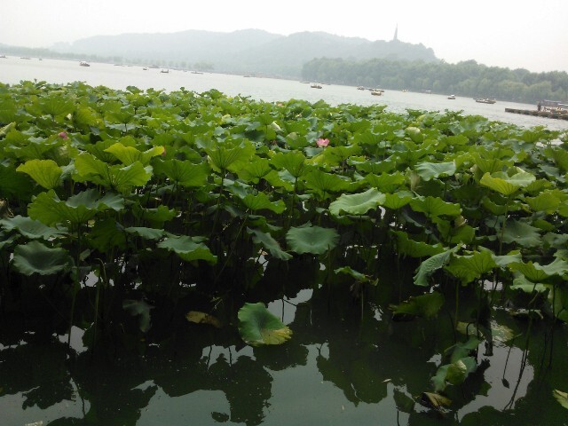 QQͼƬ20141028155114.jpg