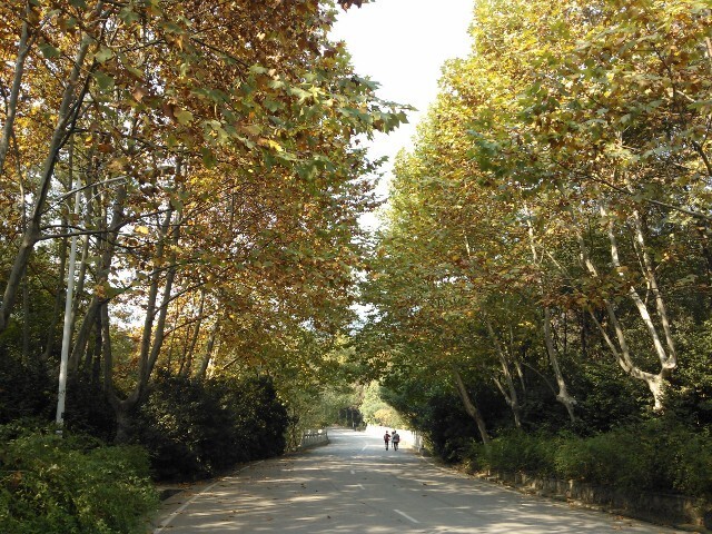 QQͼƬ20141029164501.jpg