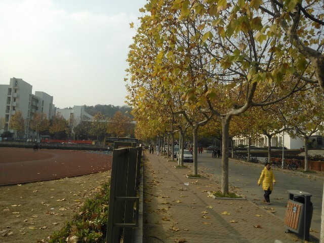 QQͼƬ20141029164515.jpg