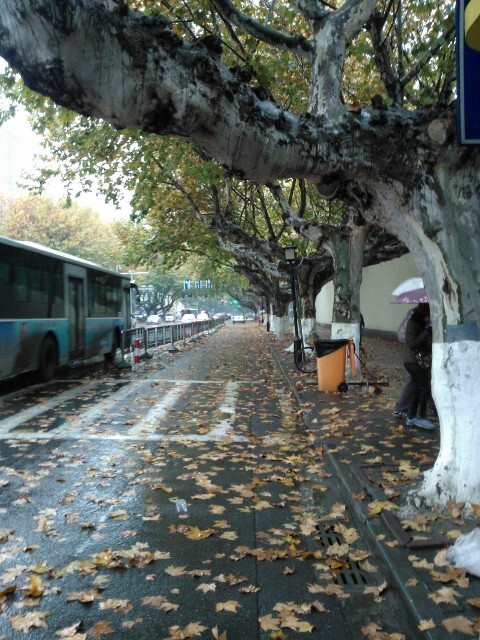 QQͼƬ20141029164535.jpg