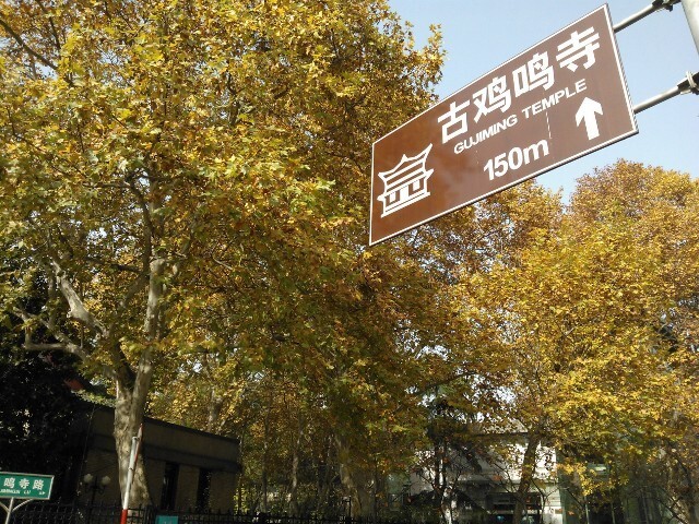 QQͼƬ20141029164544.jpg