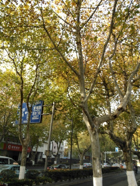 QQͼƬ20141029164548.jpg