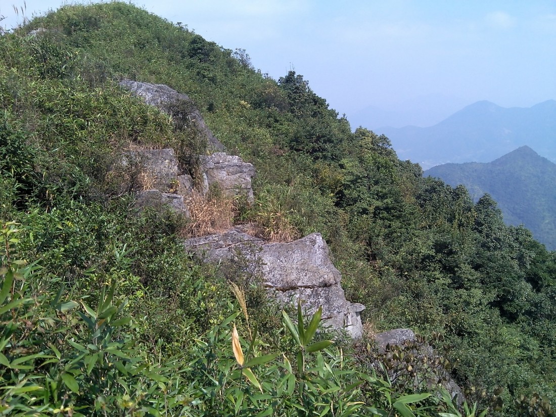 IMG_20141002_132602.jpg