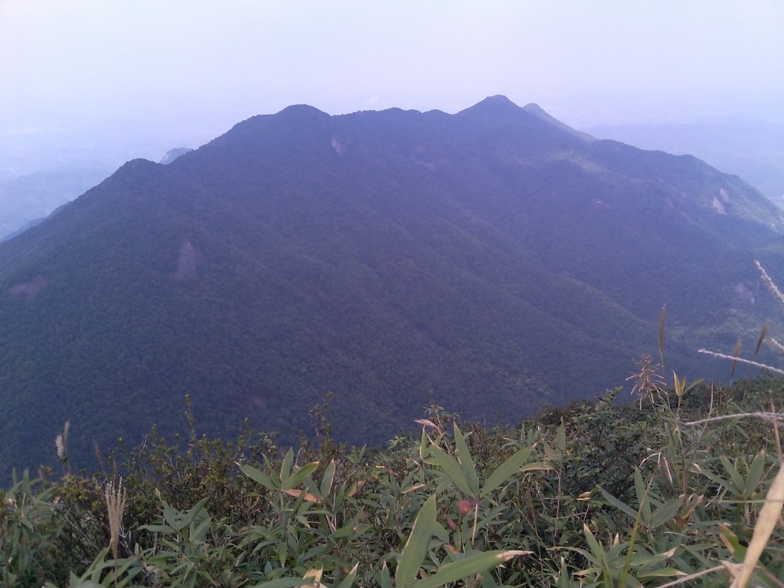 IMG_20141002_131339.jpg