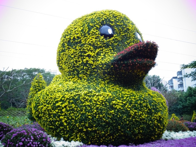 083210btx35ad7utaqtaqr_jpg_thumb.jpg
