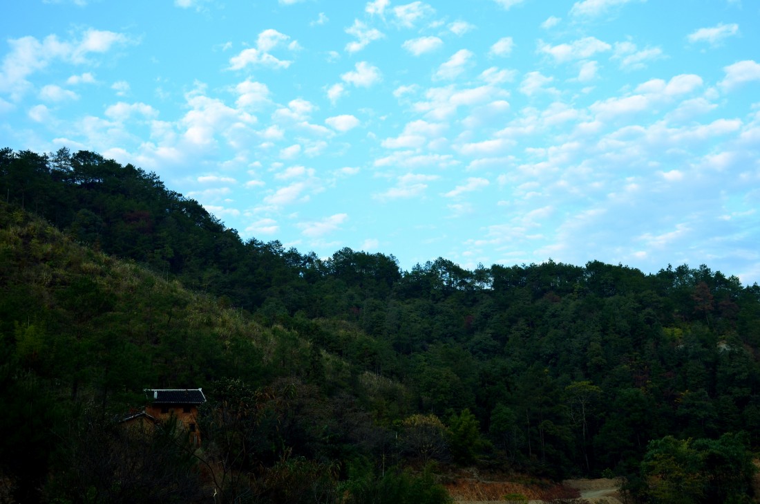 DSC_0443_.jpg
