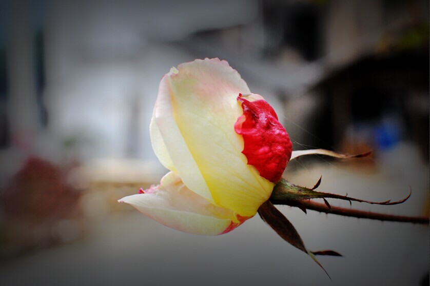QQͼƬ20150104203157.jpg