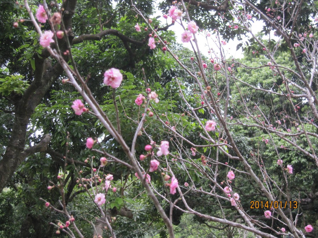 2014116145637934.jpg