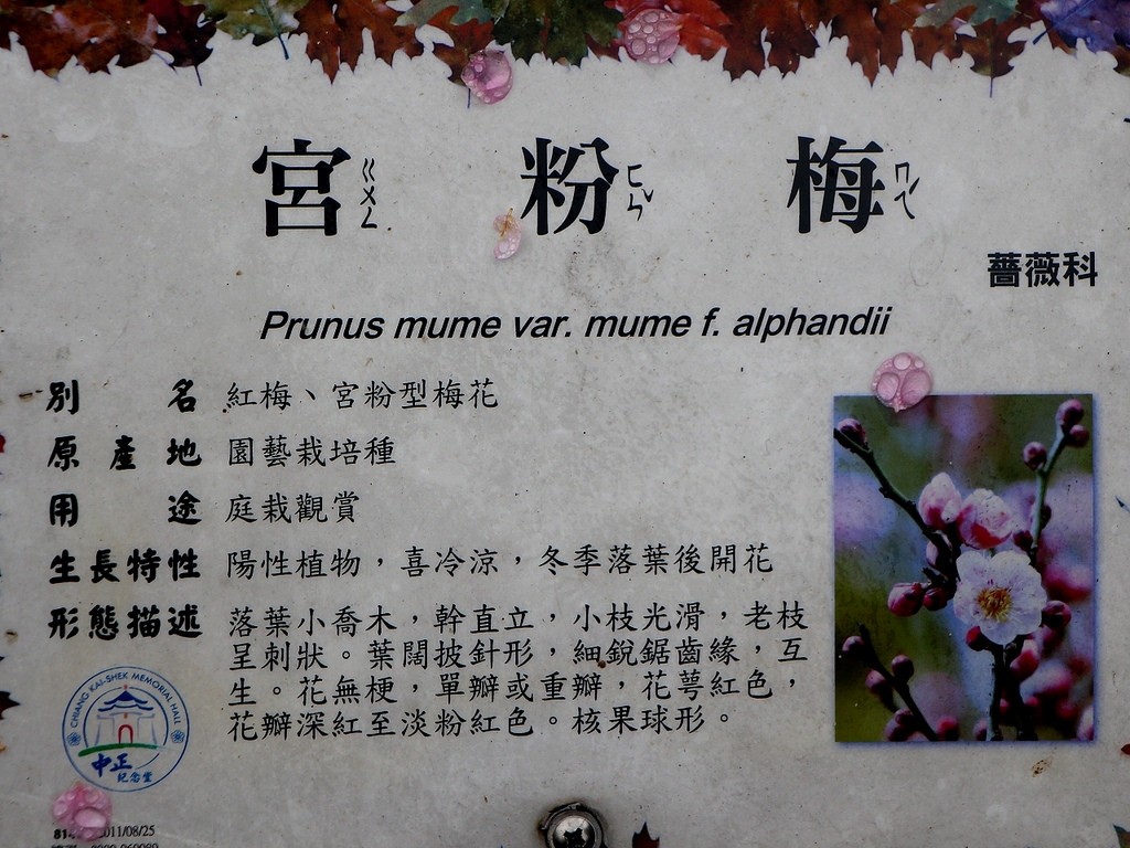 220859w7xo9al33a9wawn7.jpg.thumb.jpg