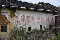 DSC_11711.jpg