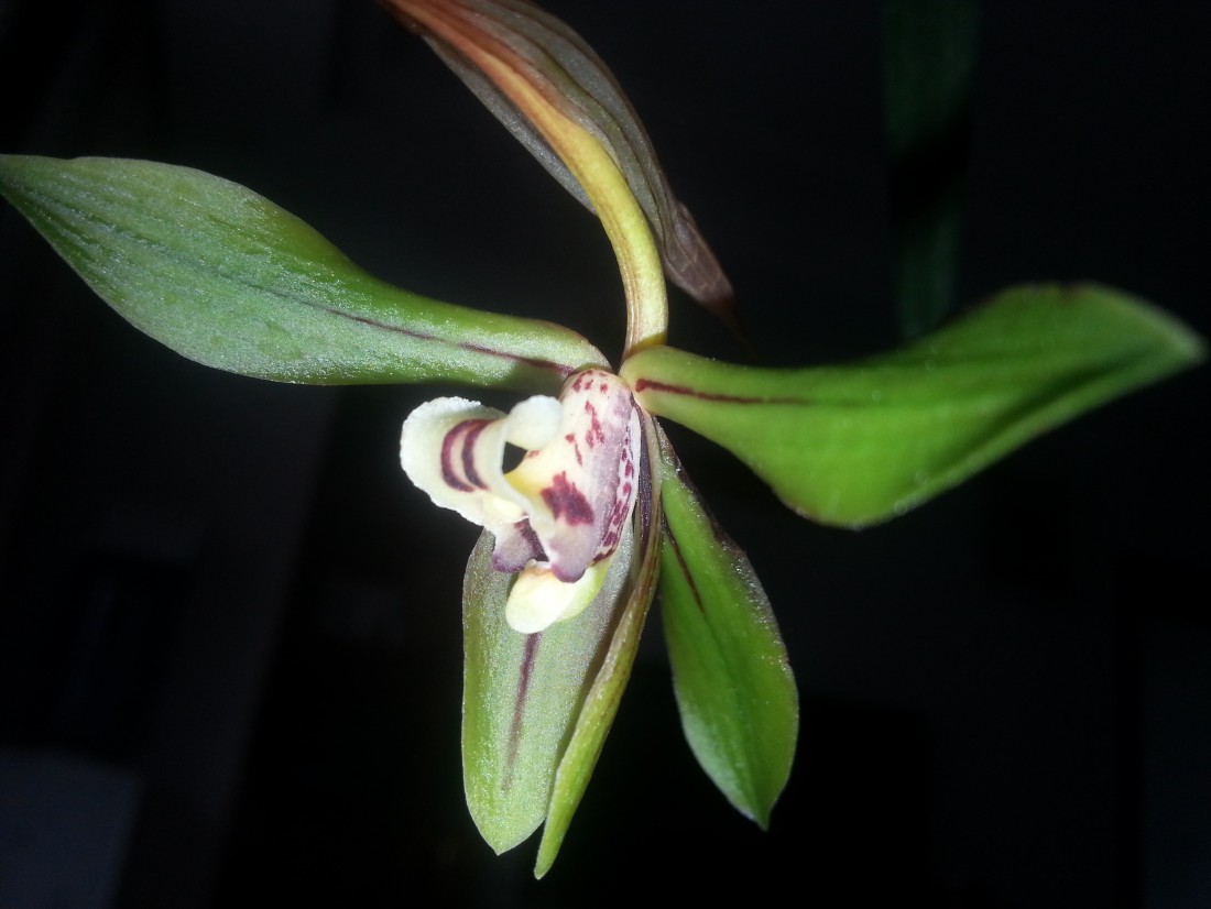 20150307_134448.jpg
