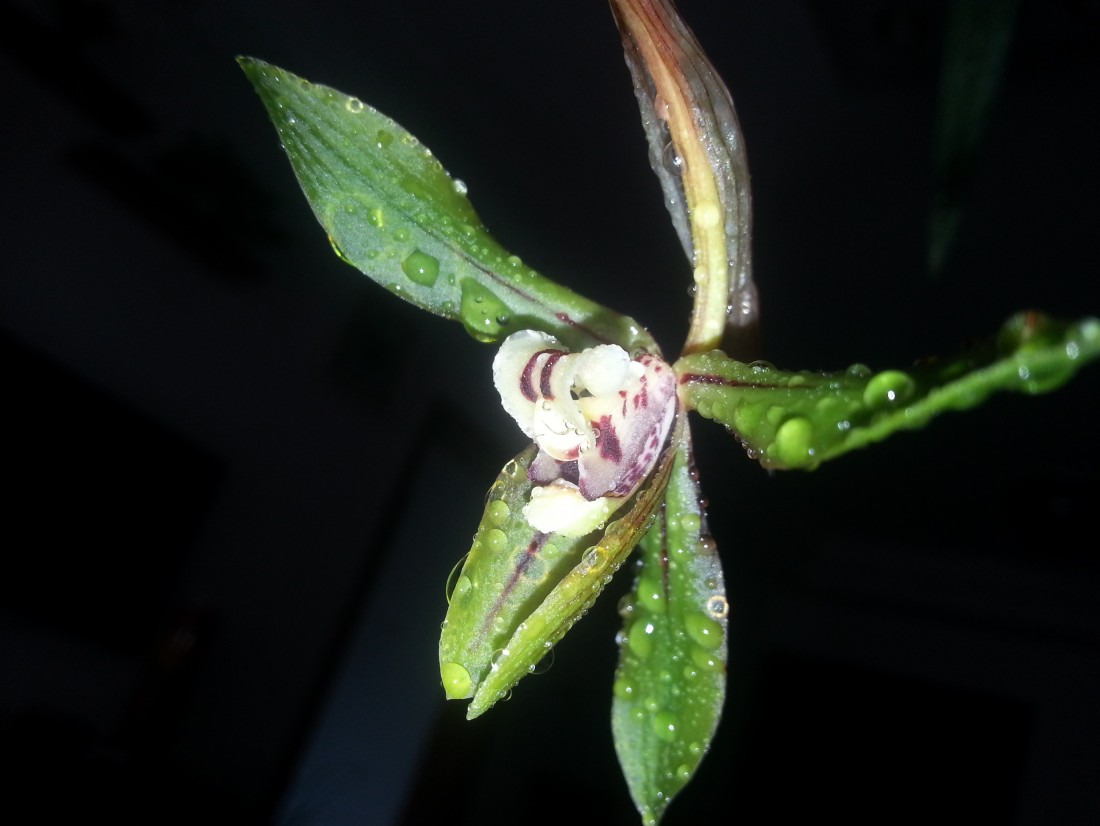20150307_135020.jpg