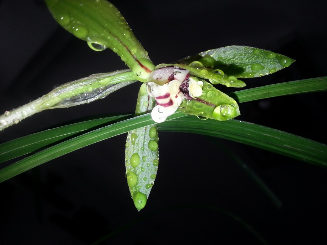 20150307_140025.jpg