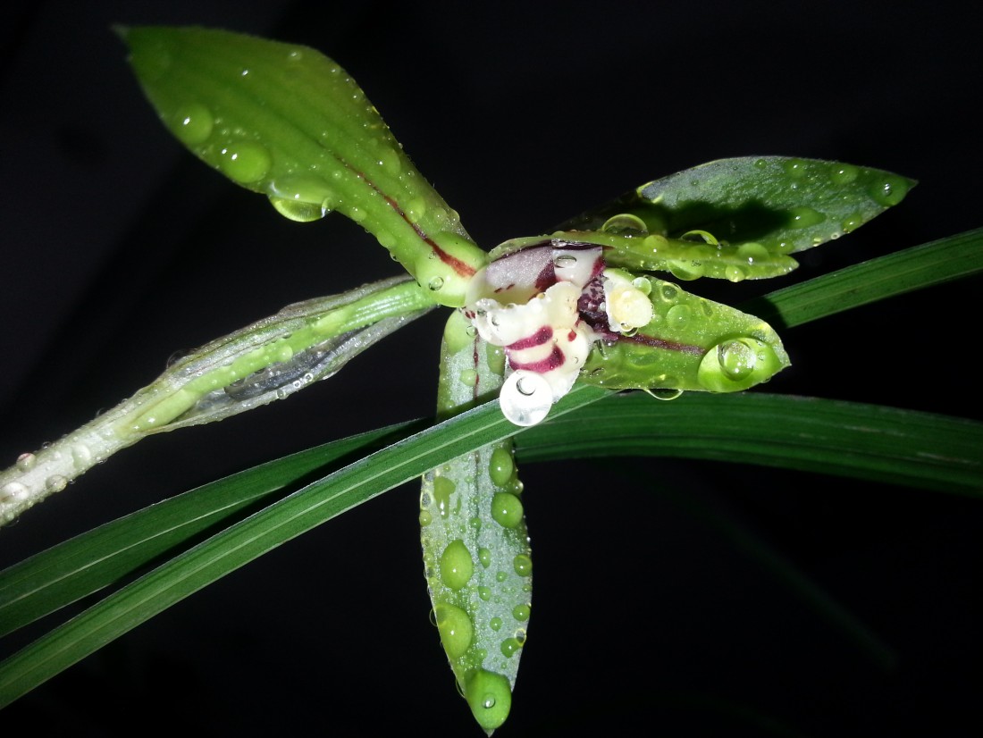 20150307_140057.jpg