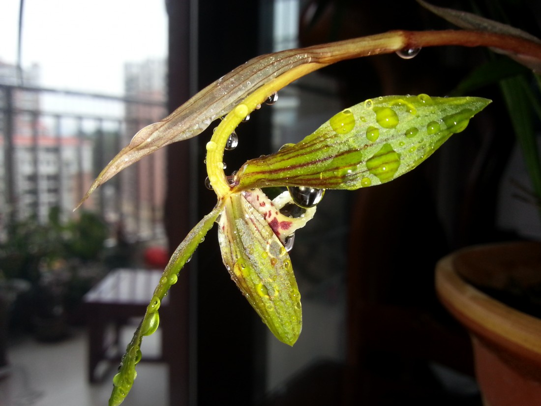 20150307_141758.jpg