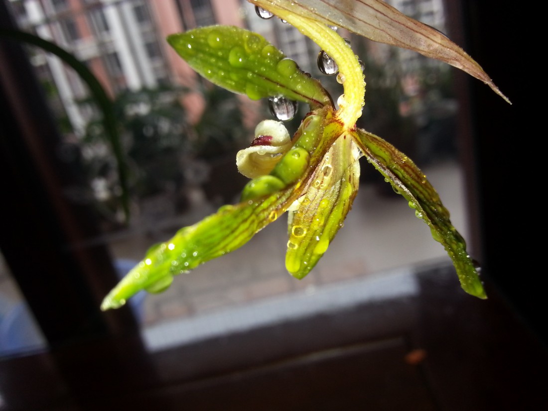 20150307_142016.jpg