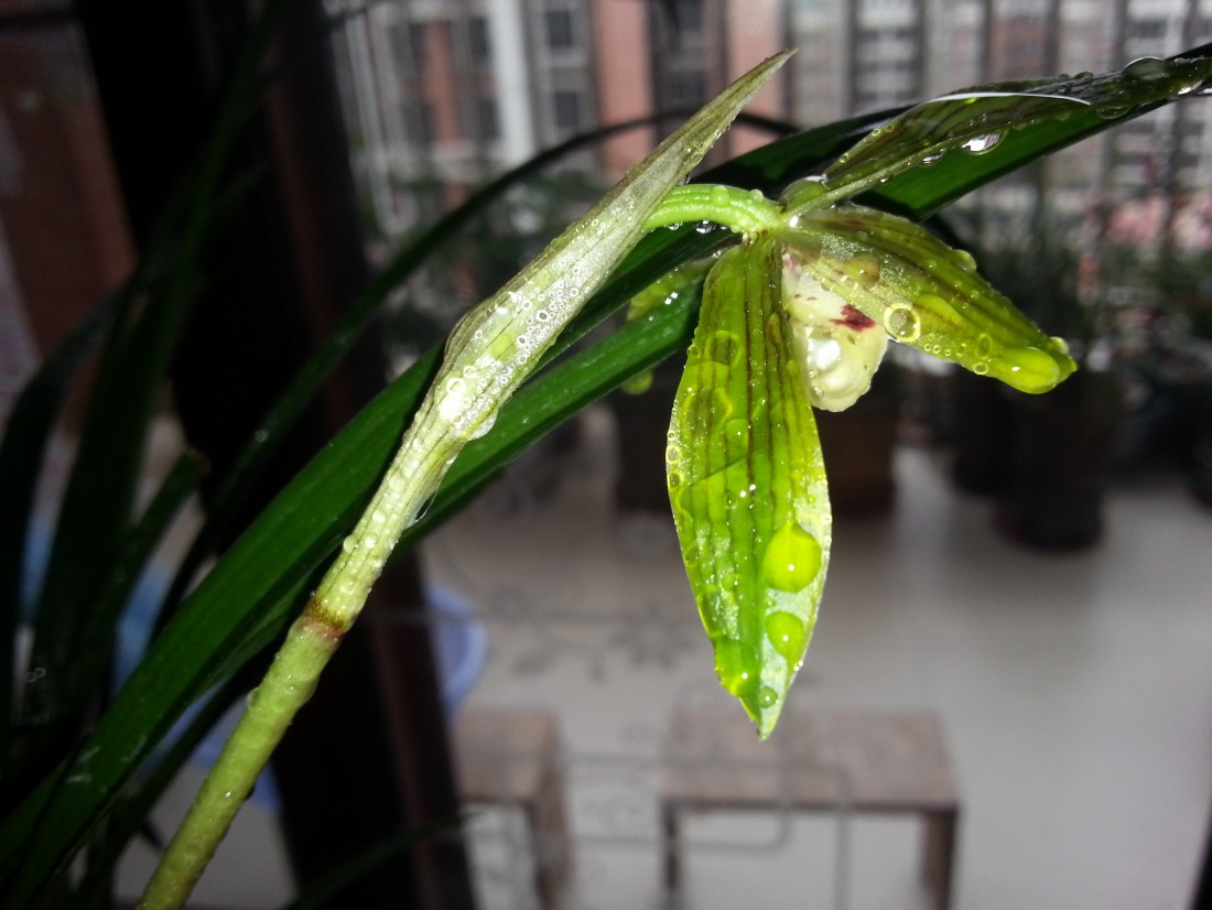 20150307_143213.jpg
