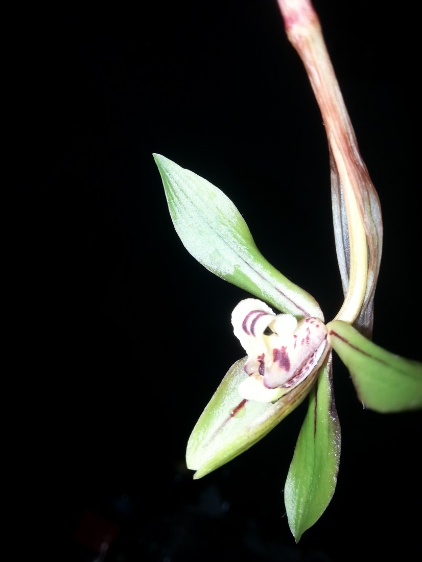 20150308_224622.jpg