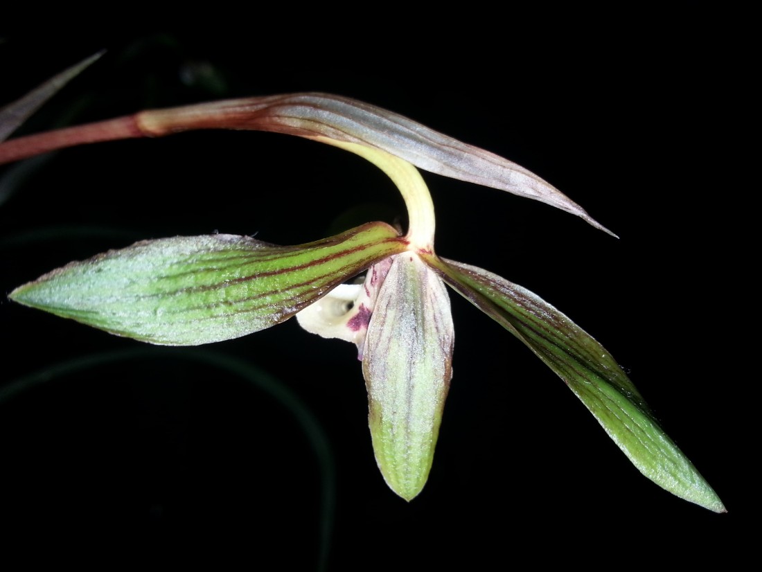 20150308_224722.jpg