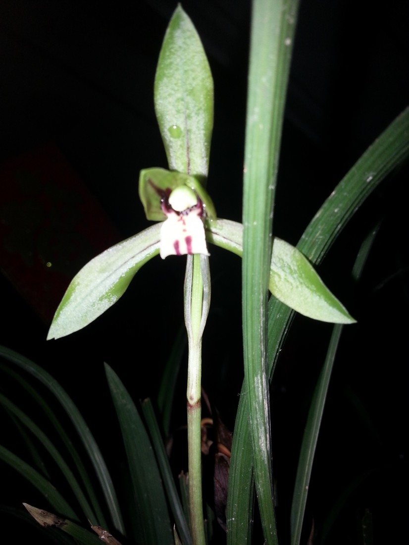 20150308_224841.jpg
