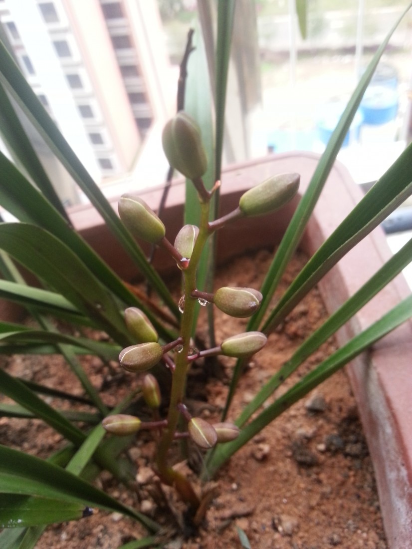 20150304_152825.jpg