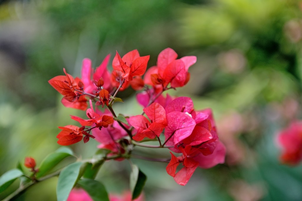 100807sde5hd5phhto6e6u.jpg.thumb.jpg