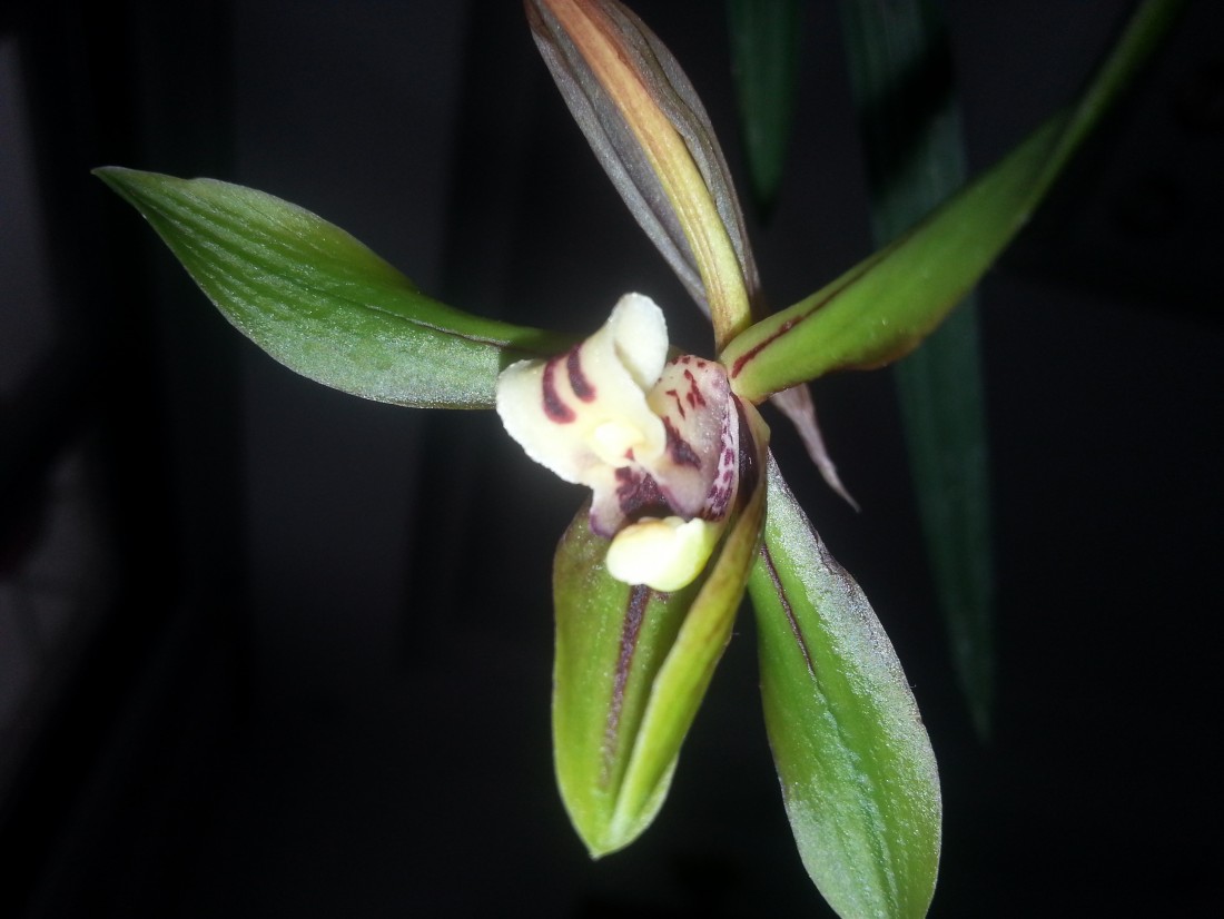 20150307_134007.jpg