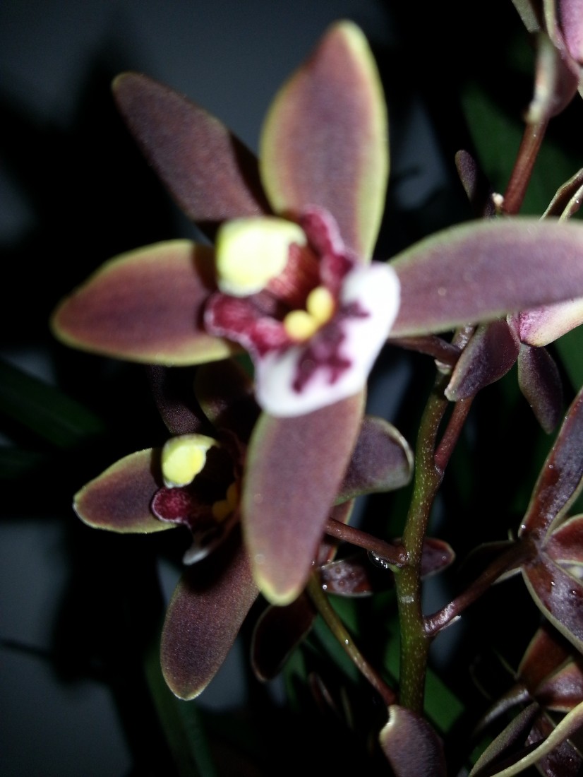 20150316_094738.jpg