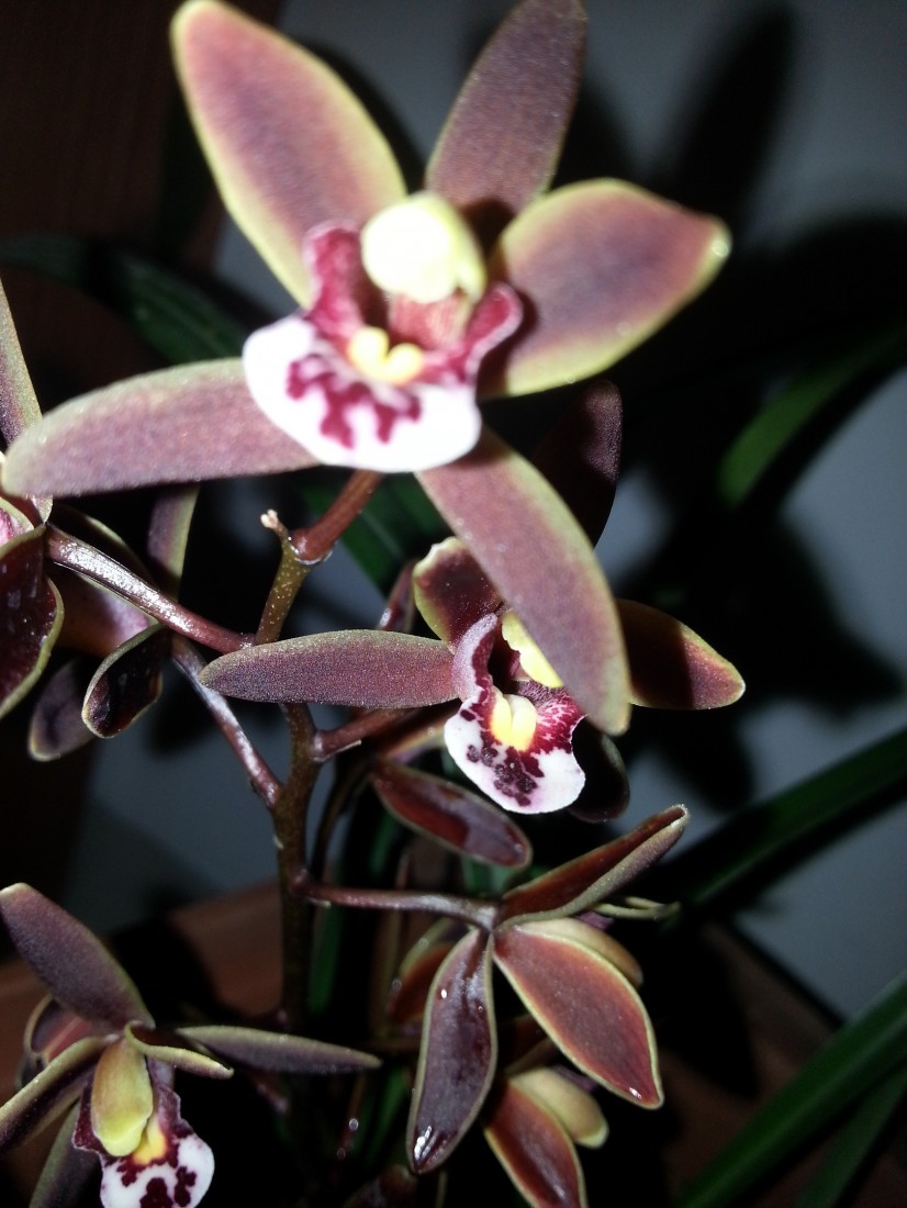 20150316_094835.jpg