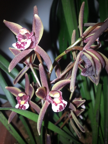 20150321_191829.jpg