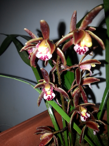 20150317_202455.jpg