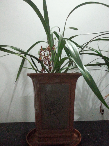 20150317_202637.jpg