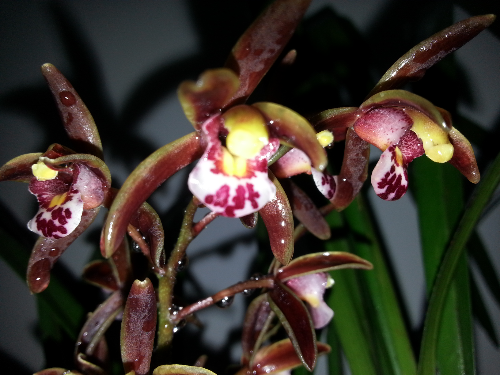 20150317_202728.jpg