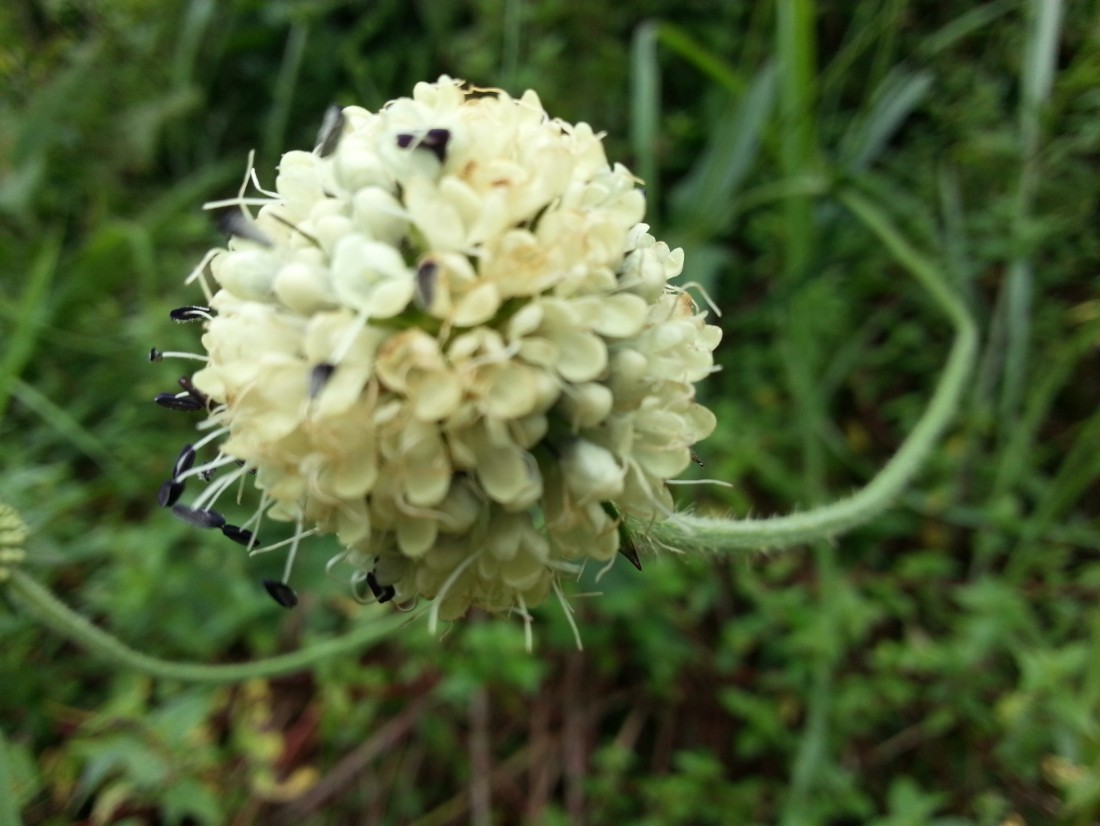 20140904_100658.jpg