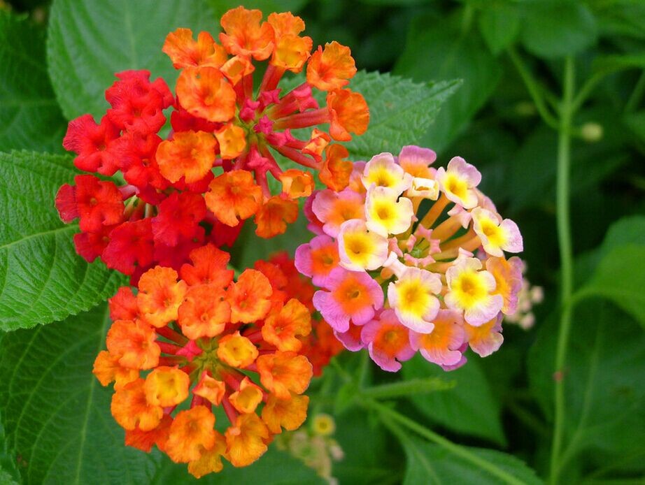 QQͼƬ20150509132249.jpg