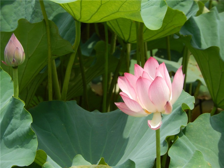 DSCN0839.jpg