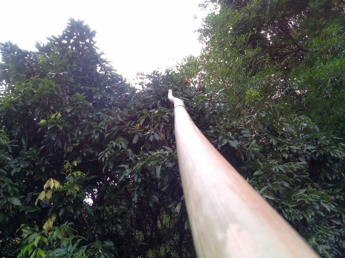 QQͼƬ20150704172514.JPG