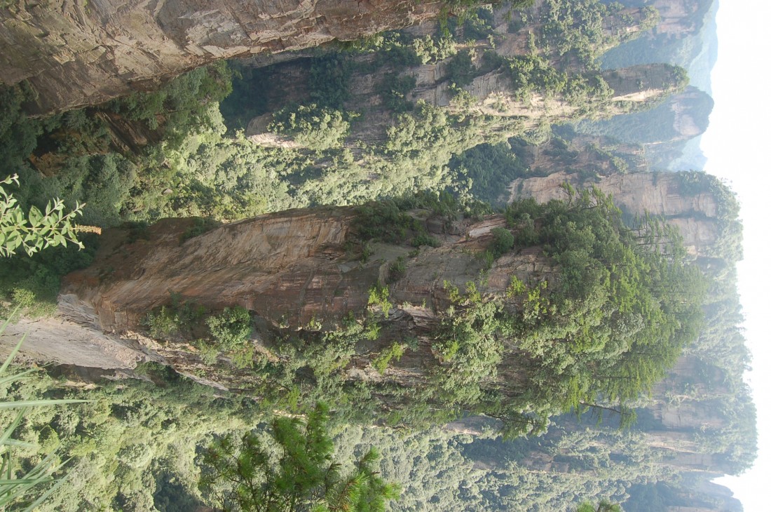 DSC_4159.JPG