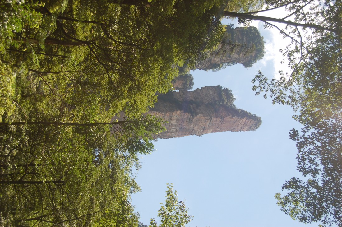 DSC_4329.JPG