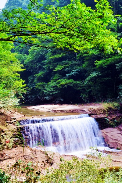 DSC_2235__.jpg