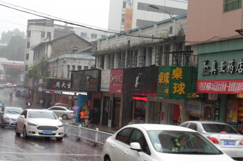 P1000145.jpg
